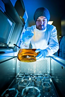 Scientist At Work Drucke: Scientist using sample agitator