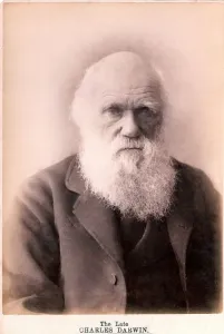 Wissenschaftler Drucke: Charles Darwin im Alter von 80 Jahren, 1879