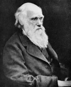 Autor Drucke: Porträt von Charles Darwin, britischer Naturforscher