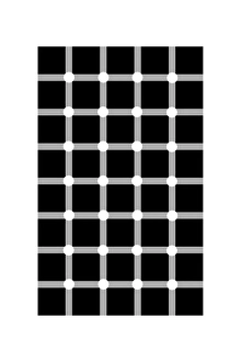 Bewundernswerte Grid-Illusion