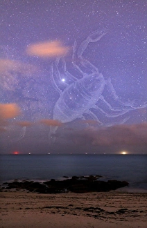 Jupiter Planet Drucke: Scorpio in a night sky