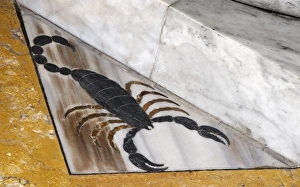 Scorpio Constellation Drucke: Scorpio, the Scorpion