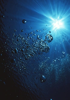Drucke von Blasen unter Wasser treiben auf. Luftblasen freigesetzt von der Atemmaske eines Tauchers. Aufgenommen vor Palau Sipadan, Maleisien Bilder Datiert 2002 Oktober: Atembläschen