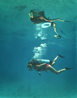 Scuba Diving Drucke: Scuba diver