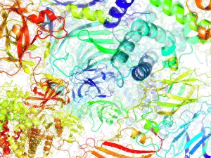 Zweiter Strukturwesen der Proteine Kunstwerk