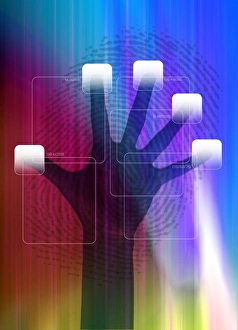 Security scanning technology, artwork
