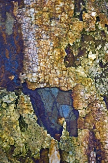 Geological Formations Drucke: Sedimentary rocks