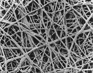 Drucke von Membran der Eierschale. Skanningelektronenmikroskop (SEM) von der innern Membran aus dem Gehäuse eines Huhner-Eies. Bei Vögeln finden sich mehrere Membranen um das Embryo herum Bilder Datiert 2005 Juli: Membran des inneren Huhner-Eierschells