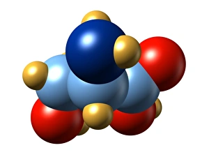 Amino Acid Structure Drucke: Serine, molecular model