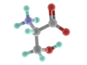 Serynmolekül