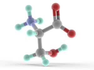Drucke von Serin, molekularer Modell. Nicht essentieller Proteinogen Aminosäure Bilder Datiert 2013 Januar: Zyklische Serinsäuremolekül