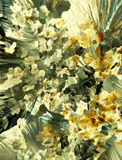 Polarised Light Microscopy Images Drucke: Serotonin crystals, light micrograph