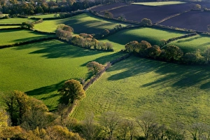 English Autumn Landscapes Drucke: Shadows across fields, Devon, UK