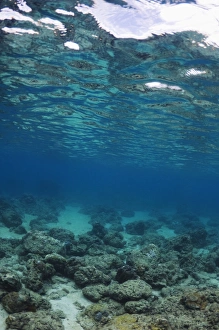 Tropical Ocean Scene Drucke: Shallow reef