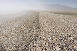 British Seaside Scene Drucke: Shingle on a beach