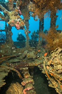 West Papua Underwater Scene Drucke: Shipwreck interior
