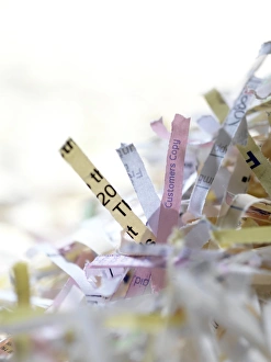 Waste Management Techniques Drucke: Shredded paper