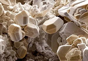 Drucke von Silberkristalle. Farbiger Rasterelektronenmikroskop (SEM) von Kristallen des Silbers (Symbol Ag, Atomnummer 47). Silber ist ein glänzender, wertvolles Metall, das seit der Vorzeit bekannt war Bilder Datiert 2005 März: Silberkristalle