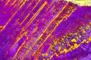 Polarised Light Micrograph Drucke: Silver nitrate crystals