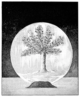 French Popular Science Weekly Drucke: Silver plating, 19th century