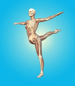 Female Skeleton Anatomy Drucke: Skeleton dancing