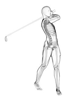Computer Generated Art Drucke: Skeleton playing golf, artwork