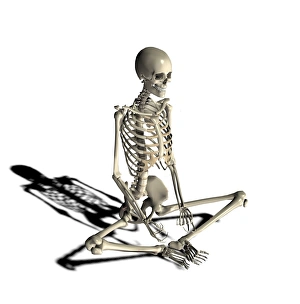 Computer Generated Skeleton Drucke: Skeleton in yoga position, artwork