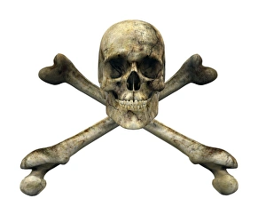 Drucke von Knochenkopf und Kreuzbeine, Computerskizze eines Knochens auf zwei kreuzgelegten Femurkörpern Bilder Datiert 2006 August: Knochen und Kreuzblutungen