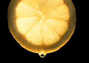 Lemon Slice Drucke: Slice of lemon