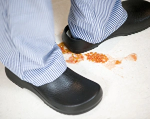 Drucke von MODELL FREIGEBEN, Gefahr durch Abfall - Tomatensamen auf dem Boden des Kitchens Bilder Datiert 2012 November: Schlagfeldgefahr