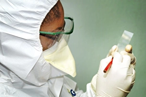 Viral Infection Drucke: Smallpox infection