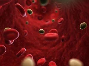 Medical Computer Graphics Drucke: Smallpox infection, artwork