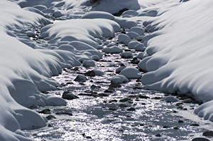 Alpine Winter Scenery Drucke: Snow and stream