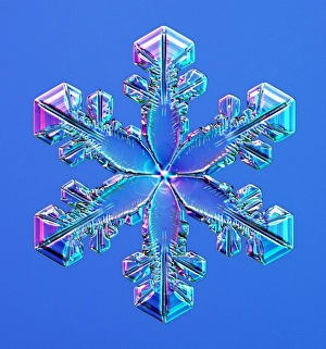 Snowflake