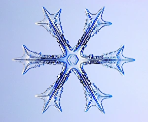 Snowflake
