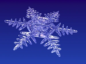 Ice Crystal Formation Drucke: Snowflake, artwork