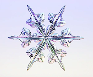 Schneeflocke, leuchtende Mikroskopbild