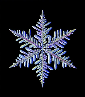 Schneeflocke, Lichtmikroskopbild