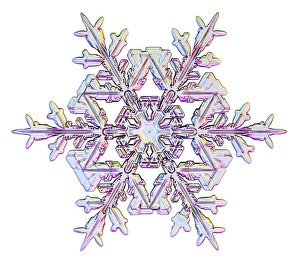 Schneeflocke, Lichtmikroskopbild