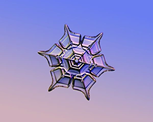 Schneeflocke, Lichtmikroskopbild