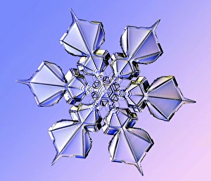 Schneeflocke, Lichtmikroskopbild