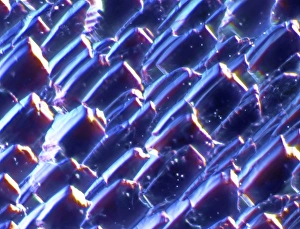 Environmentally Friendly Power Generation Drucke: Solar cell, micrograph