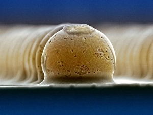 SEM Images Drucke: Solder bumps, SEM