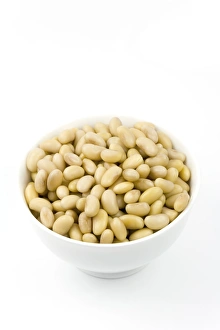 Legume Plant Drucke: Soya beans