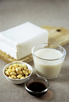 Protein Rich Foods Drucke: Soya products