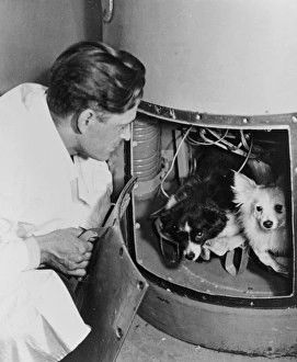 Sputnik Drucke: Raumhunde