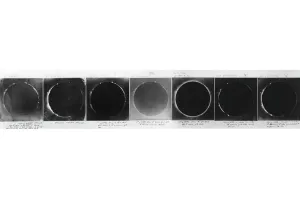 Solar Eclipse Photography Drucke: Total solar eclipse, 1860