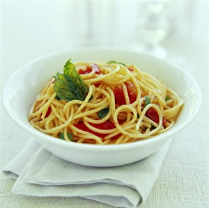 Pasta Types Drucke: Spaghetti