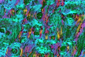 Kompaktes Knochen, leichte Mikrografie