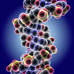 DNA Drucke: Molekül der DNS